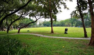 深圳荷花公园在哪里 深圳荷花公园在哪里