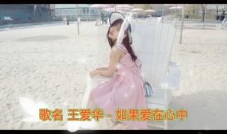 你不爱我我爱你原唱